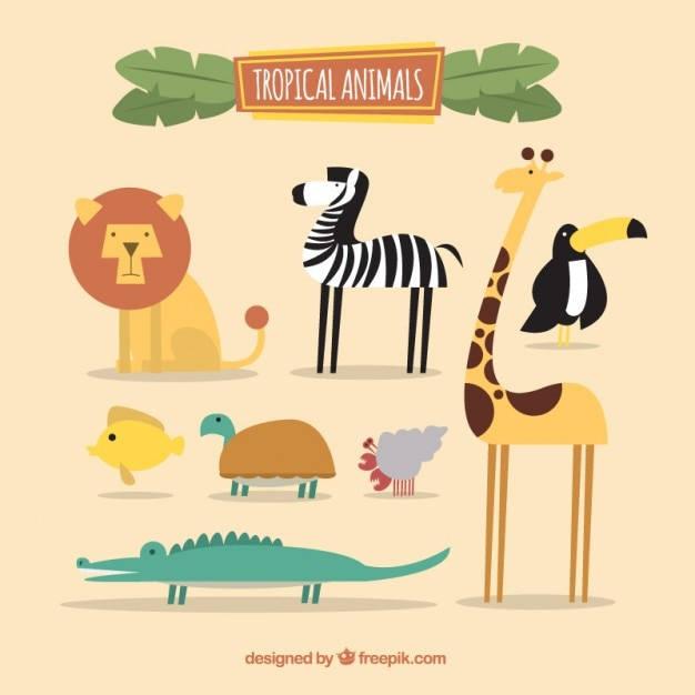 design,nature,fish,animal,cute,lion,animals,tropical,flat,flat design,giraffe,african,turtle,zebra,cute animals,lovely,crocodile,wild,collection,nice