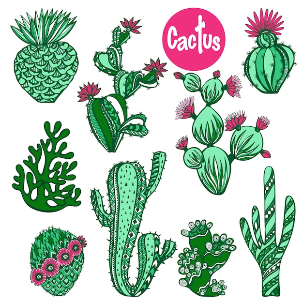 flower,floral,summer,leaf,nature,icons,cute,color,garden,tropical,plant,natural,mexico,mexican,cactus,emblem,decorative,symbol,desert,romantic