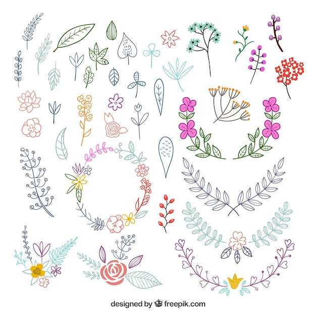 flower,floral,flowers,hand,ornament,leaf,nature,frames,hand drawn,ornaments,cute,leaves,colorful,plant,drawing,elements,floral ornaments,ornamental,life,hand drawing