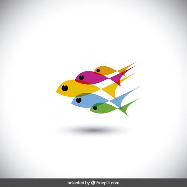 fish,animal,animals,colorful,swimming,swim,colored,fishes,isolated,translucent