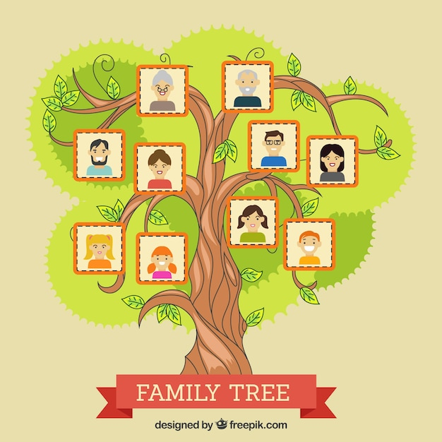 tree,family,color,colorful,mother,human,person,decoration,decorative,father,old,family tree,grandmother,parents,grandfather,relationship,adult,generation,sister,brother