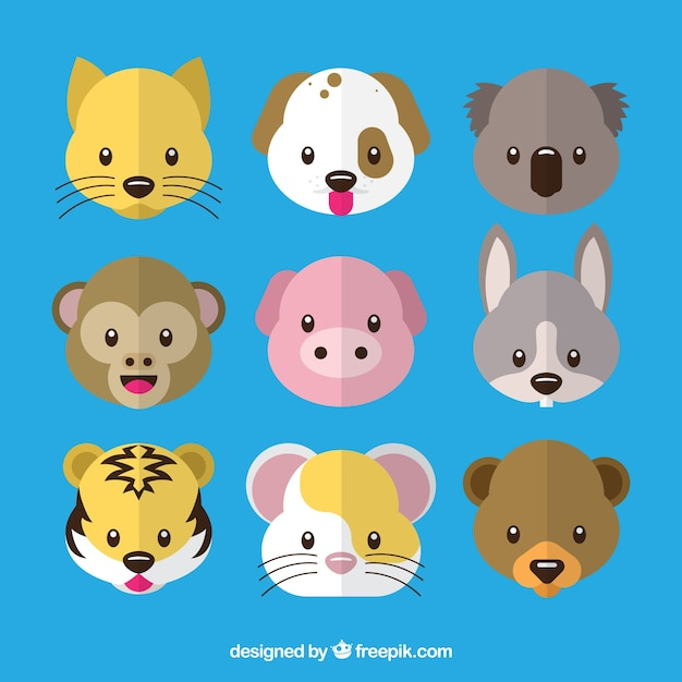 design,dog,animal,face,cute,smile,happy,animals,flat,decoration,monkey,emoticon,rabbit,pig,smiley,tiger,flat design,fun,decorative,funny