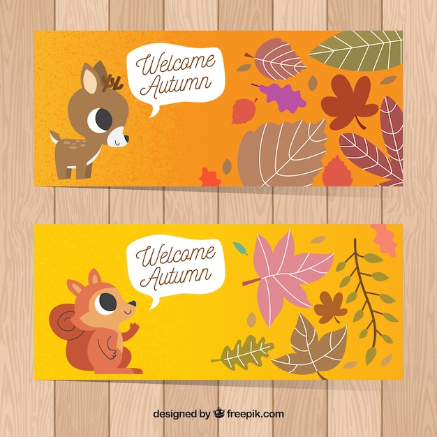 banner,leaf,nature,banners,autumn,cute,leaves,fall,natural,colors,warm,autumn leaves,branches,season,fall leaves,seasonal,deciduous,warm colors,autumnal