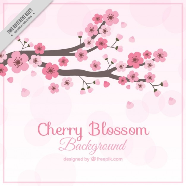 background,flower,floral,tree,flowers,hand,nature,floral background,hand drawn,japan,cute,spring,backdrop,plant,flower background,japanese,cherry blossom,natural,nature background,cherry