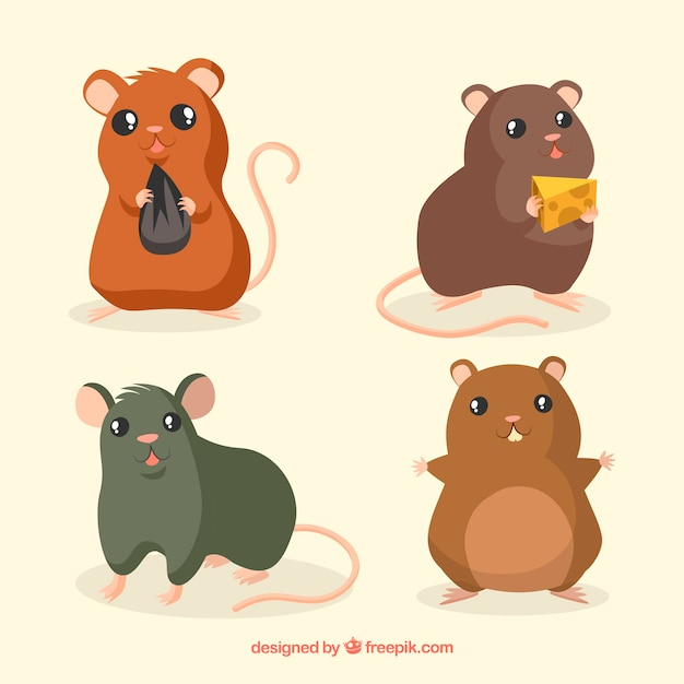 design,animal,cute,animals,flat,pet,mouse,flat design,cheese,cute animals,pack,rat,collection,set,mice,small,domestic,breed