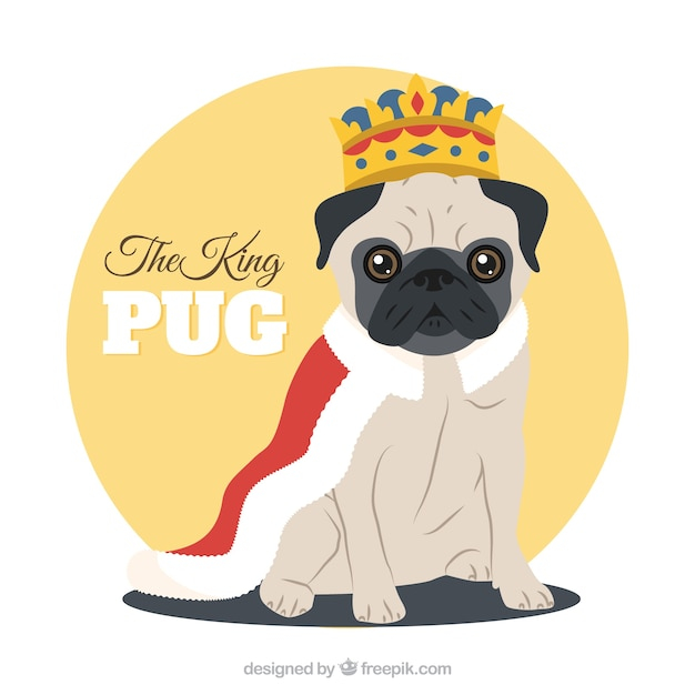 design,dog,crown,animal,cute,colorful,flat,pet,king,flat design,fun,funny,cute animals,lovely,puppy,diamonds,king crown,costume,pug,cape