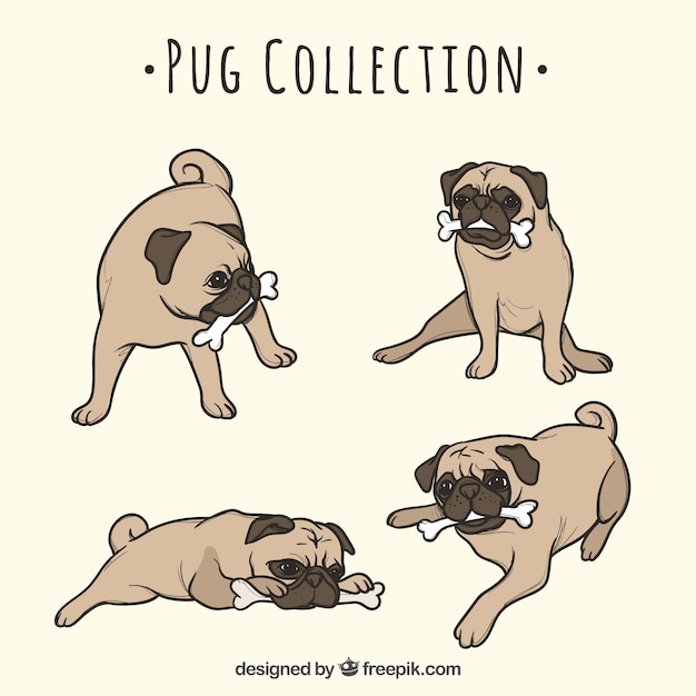 hand,dog,animal,hand drawn,cute,happy,pet,drawing,fun,funny,hand drawing,cute animals,style,drawn,lovely,pack,pug,collection,tongue,set
