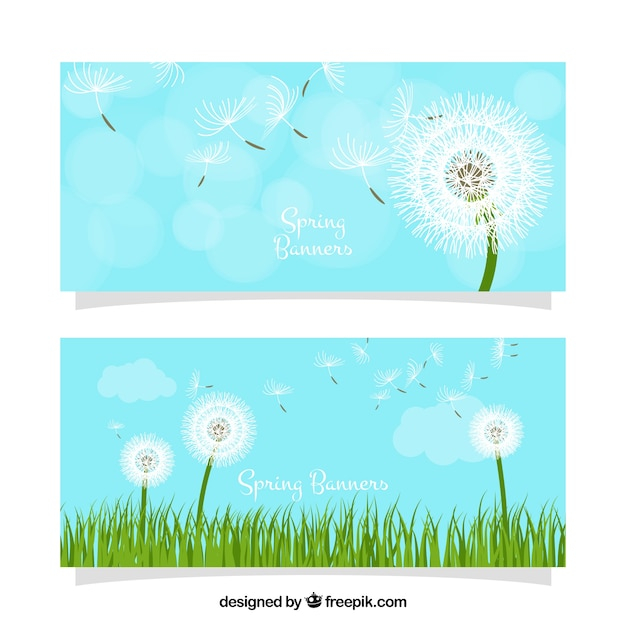 banner,flower,floral,flowers,nature,banners,cute,grass,spring,plant,natural,blossom,beautiful,season,spring flowers,green banner,bloom,springtime,vegetation,seasonal