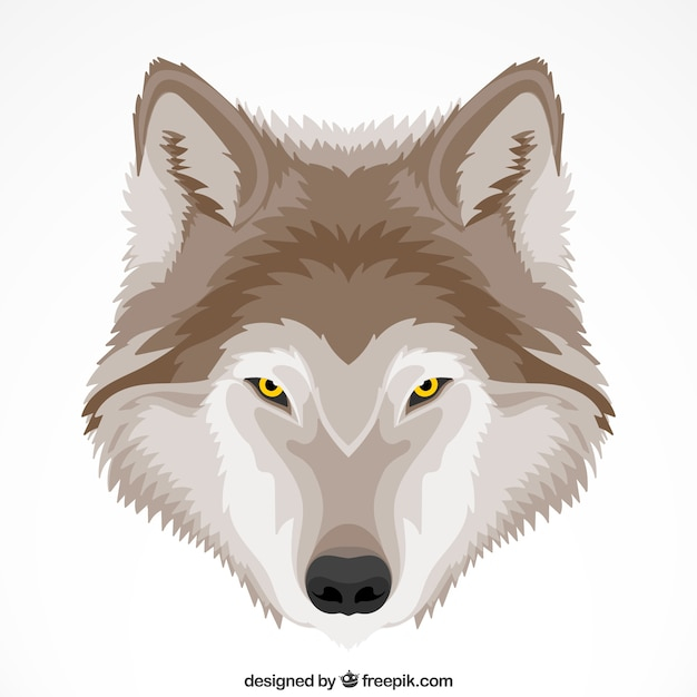 background,nature,animal,cute,animals,yellow,eyes,wolf,head,wild,hunter,wildlife,predator,howling