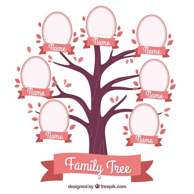 tree,design,family,template,pink,color,mother,human,person,flat,flat design,decorative,father,old,family tree,grandmother,parents,grandfather,relationship,adult