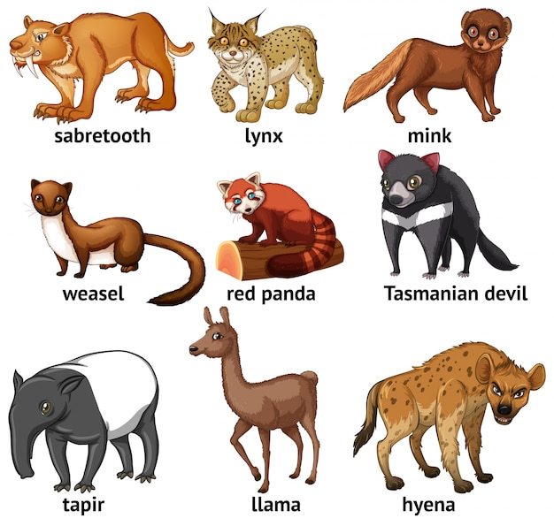 Free: Different types of rare animal 