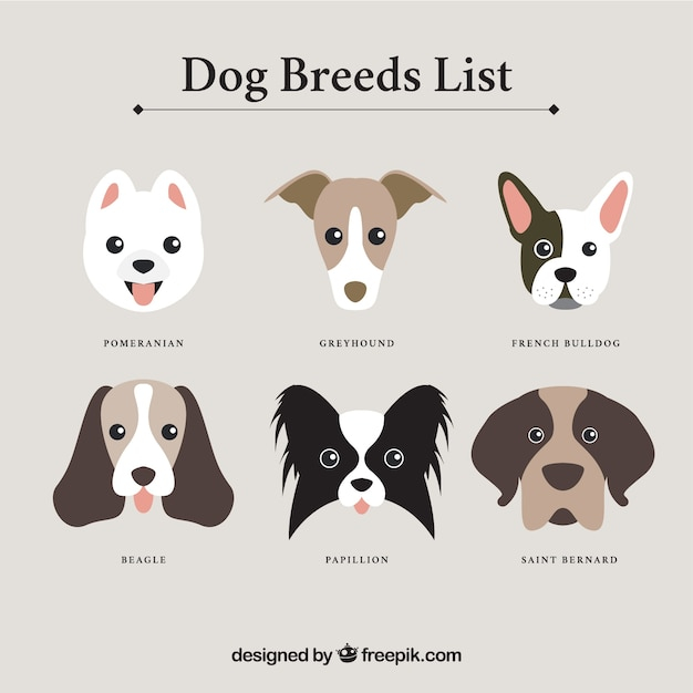 house,dog,nature,animal,cute,animals,pet,list,dogs,pets,faces,bulldog,wild,avatars,nice,wildlife,friendly,beagle,greyhound,pomeranian