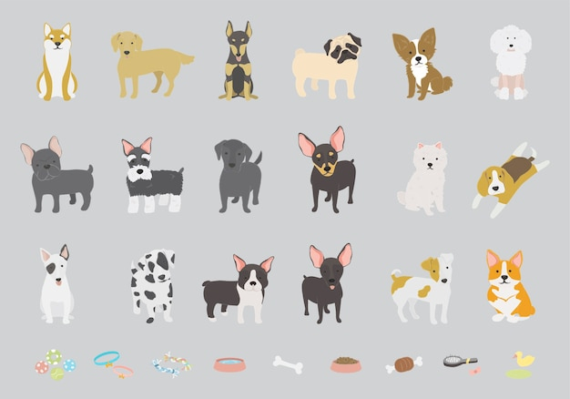  dog, animal, golden, pet, bull, bulldog, american, french, pug, collection, poodle, labrador, chihuahua, french bulldog, boston, beagle, golden retriever, scottish, eskimo, dalmatian