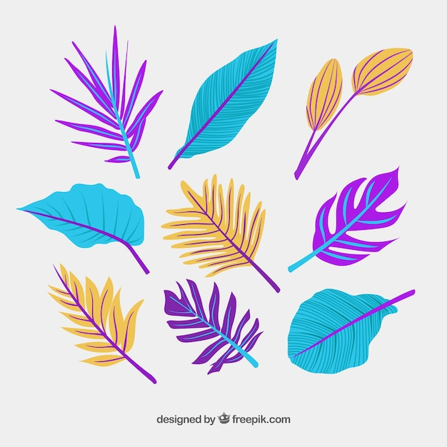 floral,hand,summer,leaf,green,nature,beach,hand drawn,spring,leaves,garden,tropical,elegant,decoration,drawing,jungle,natural,floral ornaments,ornamental,hawaii