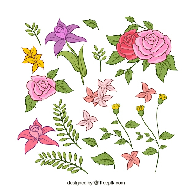 flower,floral,flowers,hand,ornament,leaf,nature,hand drawn,cute,spring,leaves,elegant,plant,decoration,drawing,elements,natural,decorative,ornamental,hand drawing