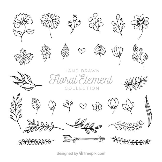 flower,floral,flowers,hand,ornament,leaf,nature,hand drawn,cute,spring,leaves,elegant,plant,decoration,drawing,elements,natural,decorative,ornamental,hand drawing