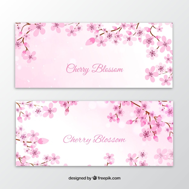 banner,flower,watercolor,floral,nature,watercolor flowers,banners,spring,elegant,plant,cherry blossom,natural,cherry,blossom,beautiful,season,spring flowers,petal,bloom,springtime