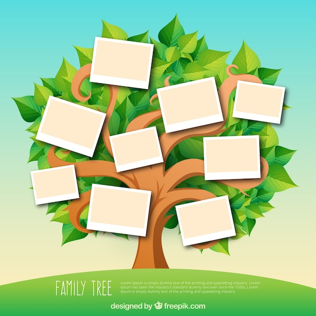 tree,family,green,color,leaves,mother,human,person,decorative,father,old,family tree,grandmother,parents,grandfather,relationship,adult,generation,sister,brother