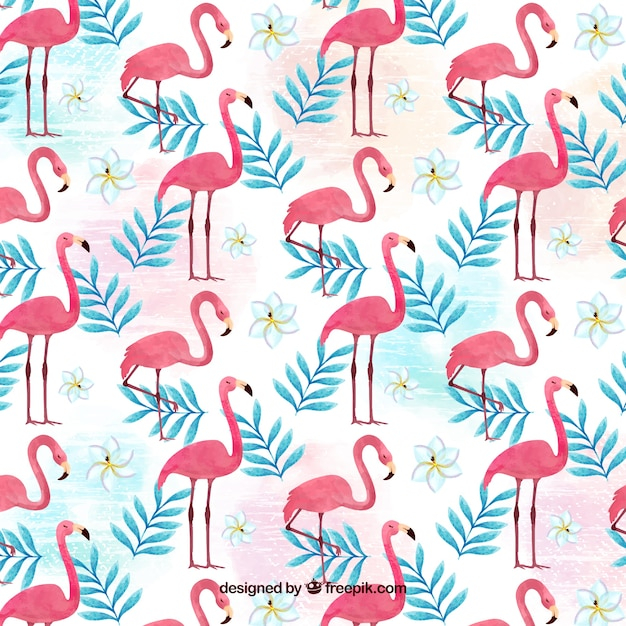  background, pattern, watercolor, flowers, nature, bird, animal, feather, wings, backdrop, background pattern, jungle, plants, pattern background, zoo, flamingo, style, wild, wildlife, flamingos