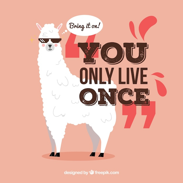  design, character, cartoon, animal, typography, quote, font, text, flat, pet, creative, ethnic, modern, flat design, cartoon character, sunglasses, message, lettering, motivation, america