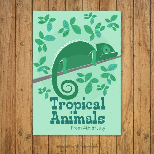 brochure,design,animal,leaves,tropical,flat,flat design,lizard,chameleon,exotic,reptile