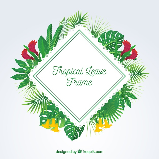 frame,floral,flowers,design,summer,template,leaf,nature,frames,beach,sun,leaves,holiday,colorful,tropical,flat,plant,decoration,flat design,palm