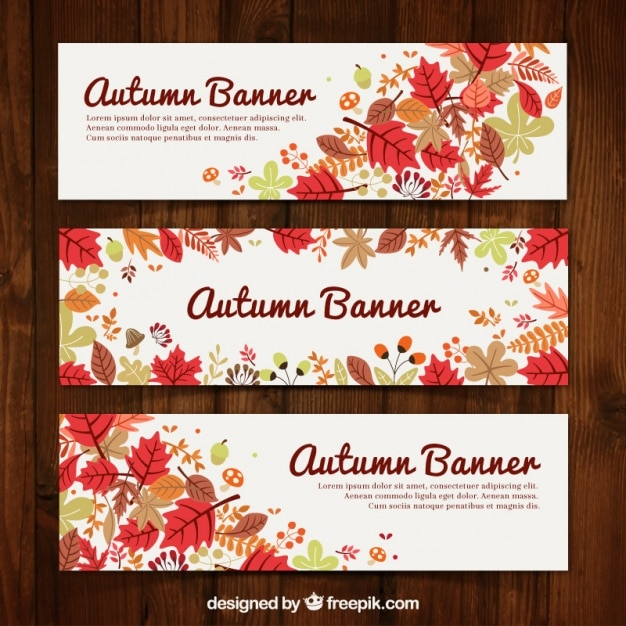 banner,floral,leaf,nature,forest,autumn,leaves,fall,natural,trees,colors,tree branch,warm,autumn leaves,branches,season,pack,seasonal,deciduous,warm colors
