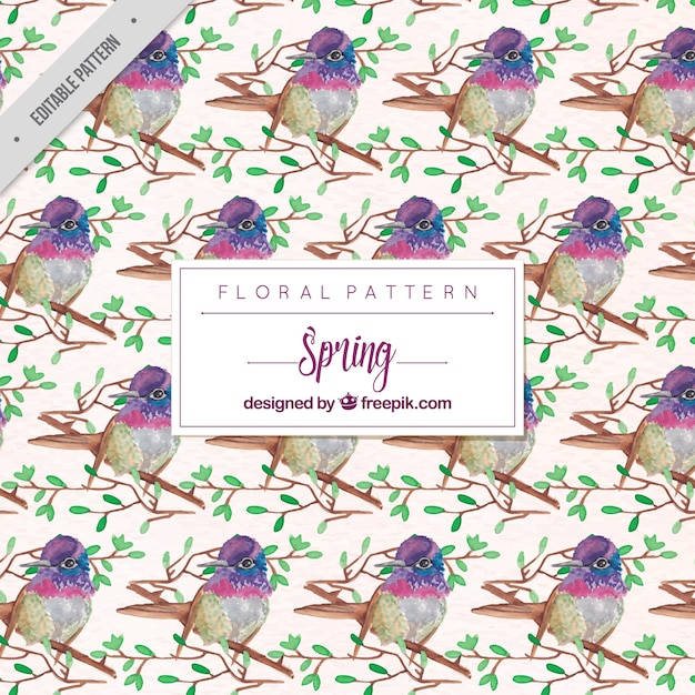 background,pattern,flower,watercolor,floral,flowers,nature,floral background,floral pattern,cute,spring,flower pattern,plant,flower background,birds,seamless pattern,natural,nature background,pattern background,blossom