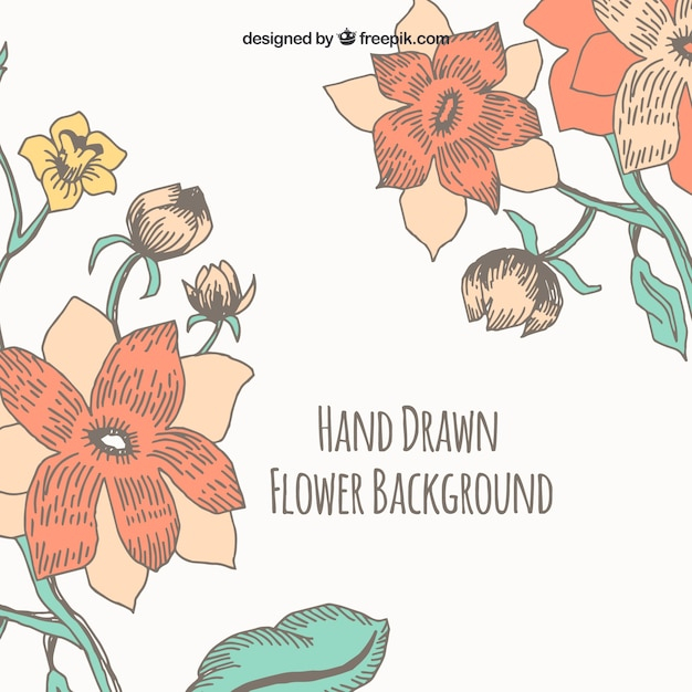 background,flower,floral,flowers,hand,nature,hand drawn,spring,leaves,plant,natural,blossom,beautiful,drawn,petals,different,bloom,vegetation,blooming,species