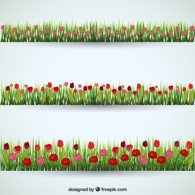 banner,flower,floral,flowers,banners,grass,spring,time,field,spring flowers,meadow,fields,spring time