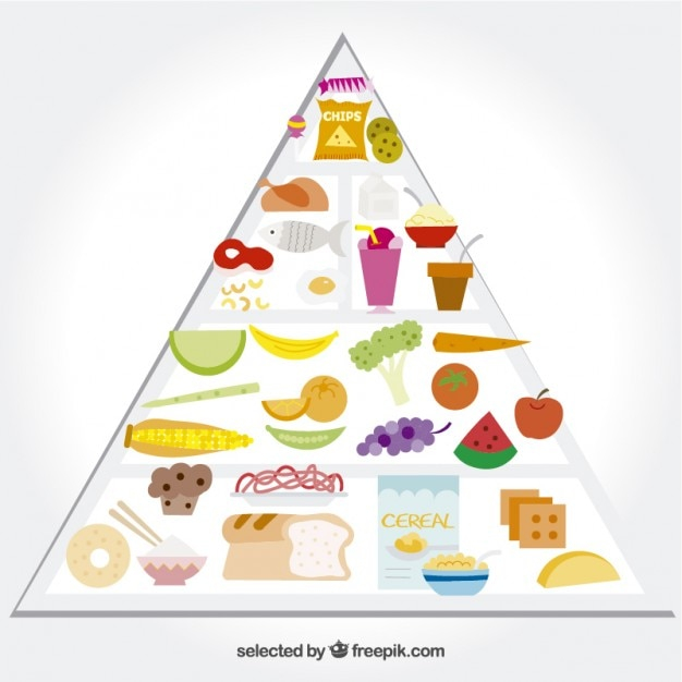 food,fish,fruit,health,vegetables,wheat,organic,meat,healthy,eat,healthy food,diet,eating,pyramid,organic food,dairy