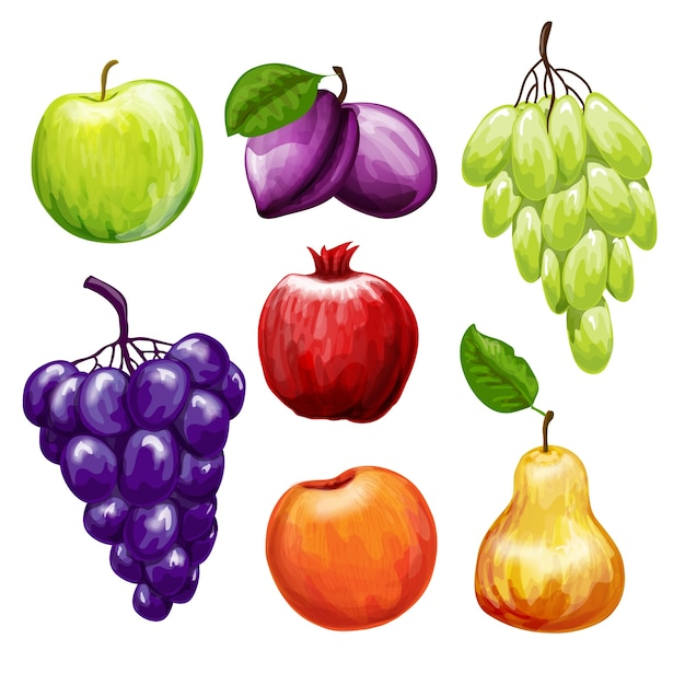 food,menu,design,green,fruit,icons,color,orange,fruits,colorful,tropical,purple,apple,yellow,plant,juice,round,elements,natural