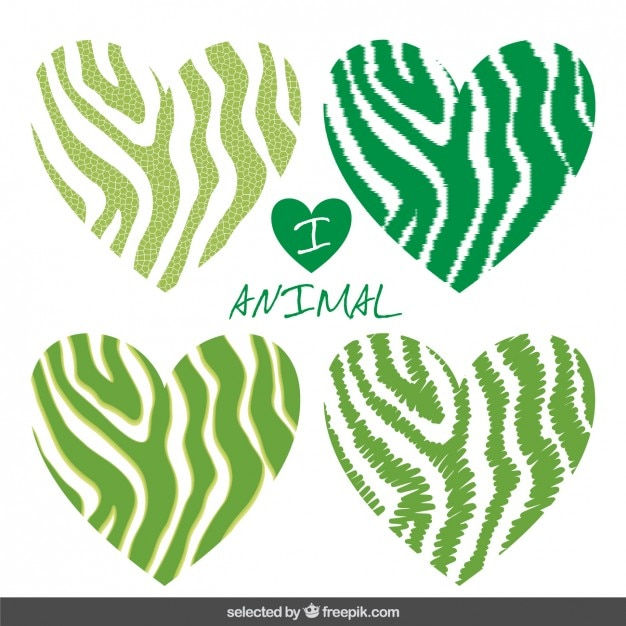 heart,love,green,animal,stripes,print,hearts,romantic,zebra,stripe,animal print,striped