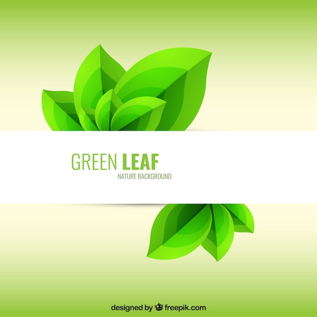 background,leaf,green,nature,green background,leaves,plant,nature background,background green,green leaves,vegetation