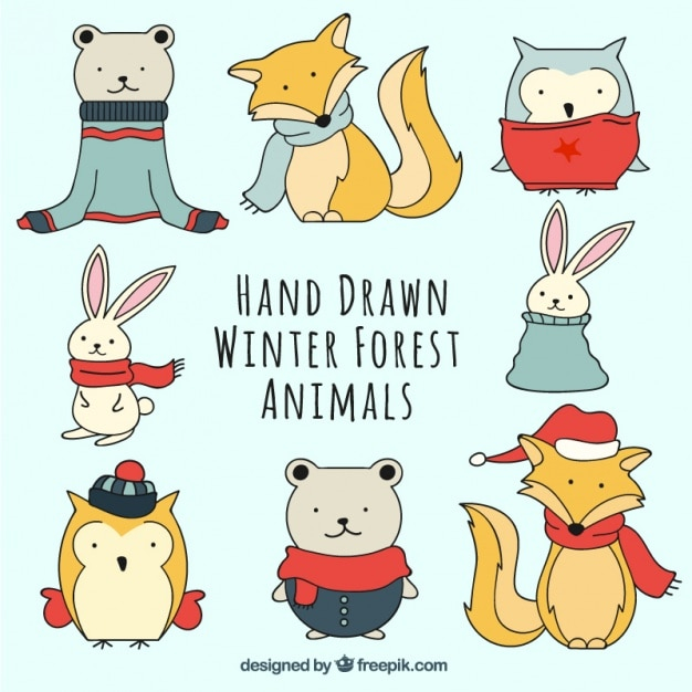 winter,hand,animal,hand drawn,forest,cute,animals,bear,owl,clothes,drawing,rabbit,fox,december,cold,bunny,scarf,season,drawn,lovely