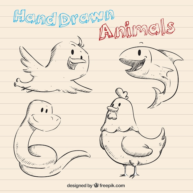 hand,cartoon,bird,animal,hand drawn,animals,drawing,fun,funny,hand drawing,snake,style,drawn,hen,cartoon animals,sketchy