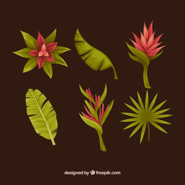 flower,floral,flowers,hand,nature,hand drawn,leaves,tropical,plant,natural,palm,blossom,beautiful,tropical flowers,palm leaf,drawn,tropical flower,collection,palm leaves,bloom