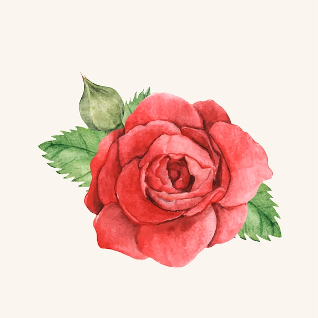  background, flower, floral, house, hand, leaf, green, floral background, nature, green background, red, hand drawn, rose, red background, spring, garden, graphic, colorful, sketch, plant