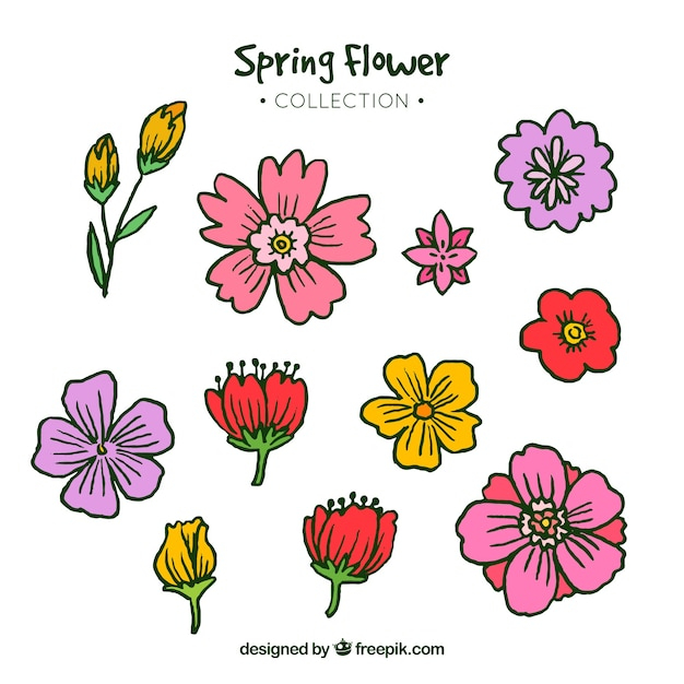 flower,floral,flowers,hand,nature,hand drawn,spring,leaves,plant,natural,blossom,beautiful,season,spring flowers,drawn,collection,petals,bloom,springtime,vegetation