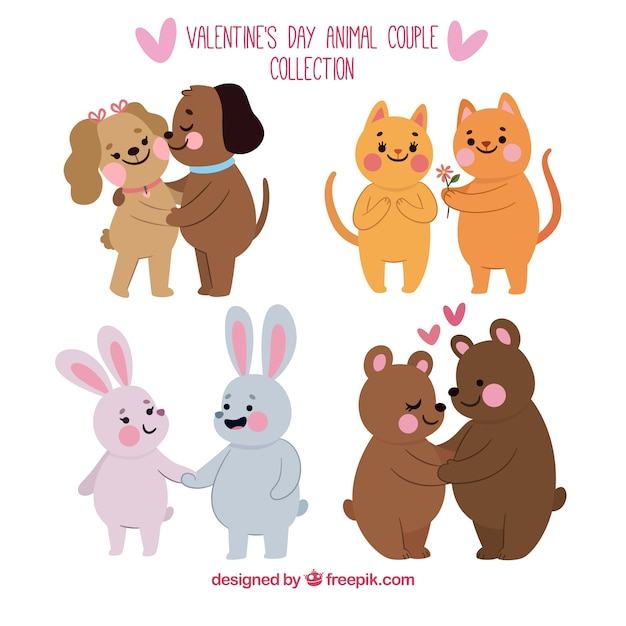 heart,love,hand,dog,nature,animal,cat,valentines day,valentine,celebration,animals,bear,couple,celebrate,cats,dogs,valentines,romantic,beautiful,day
