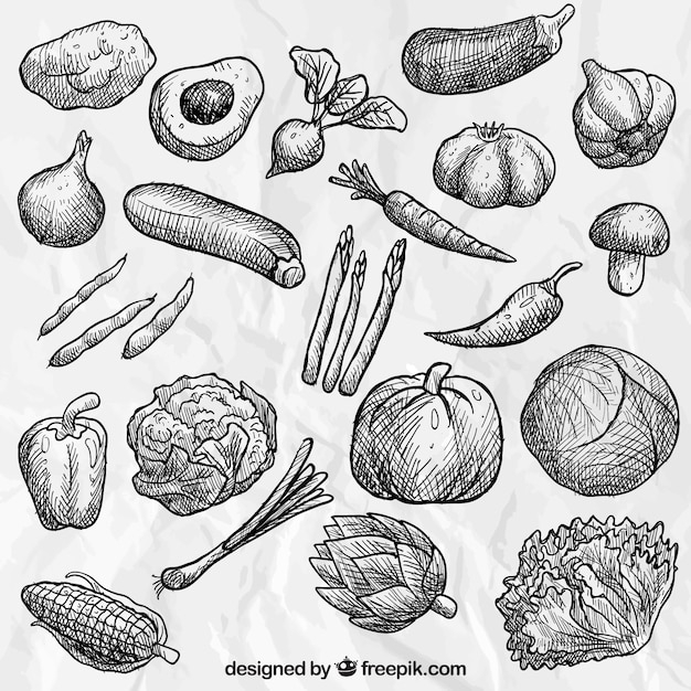 food,hand,hand drawn,health,vegetables,drawing,organic,healthy,vegetable,healthy food,hand drawing,mushroom,carrot,onion,drawn,organic food,avocado,sketchy,collection,lettuce