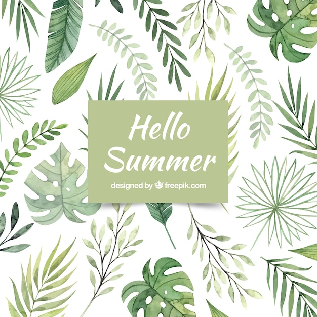  background, watercolor, texture, summer, nature, sea, beach, sun, leaves, holiday, backdrop, plants, vacation, sunshine, style, hello, season, different, watercolor texture, summertime, seasonal