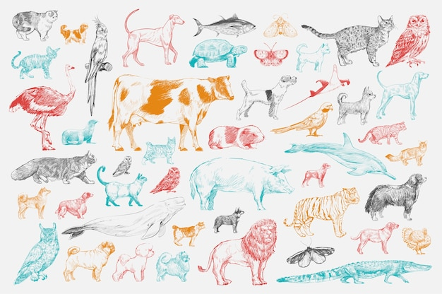 animal,animals,sign,drawing,natural,illustration,style,collection,set,naturalistic