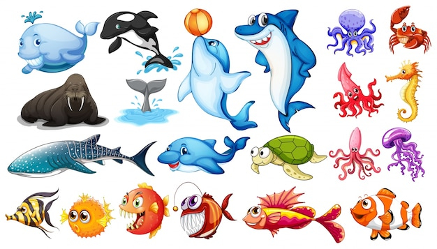nature,sea,fish,animals,drawing,illustration,different,kind