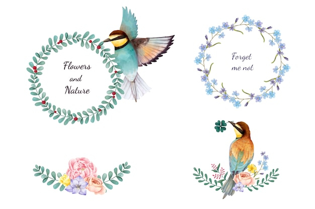  background, flower, watercolor, floral, flowers, hand, floral background, nature, watercolor flowers, hand drawn, white background, colorful, sketch, plant, colorful background, flower background, birds, drawing, white, illustration