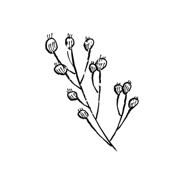 pattern,icon,hand,leaf,nature,hand drawn,spring,leaves,black,graphic,sketch,white,plant,decoration,drawing,environment,illustration,ecology,black and white,symbol