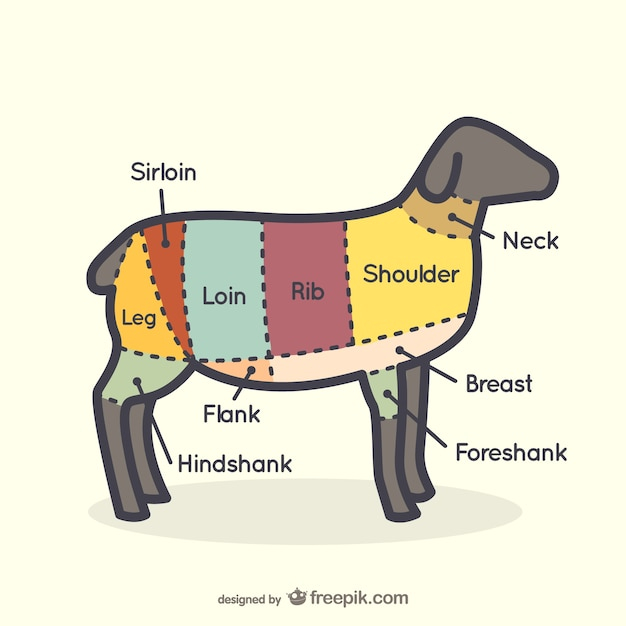 food,animal,chart,meat,sheep,lamb,butcher,cutting,cuts,primal