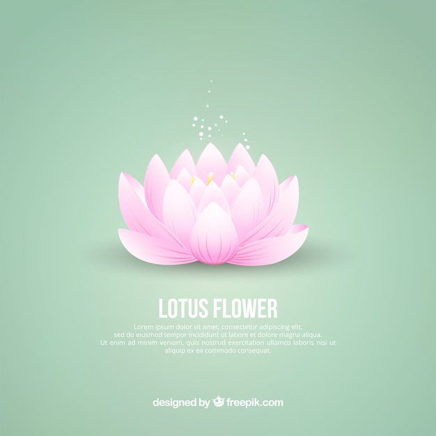 background,flower,template,lotus,flower background,oriental,asia,asian,lotus flower