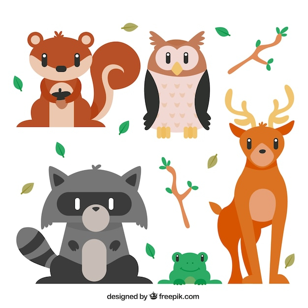 design,nature,animal,forest,cute,animals,owl,deer,flat,flat design,frog,cute animals,squirrel,branches,lovely,wild,raccoon,nice,wildlife