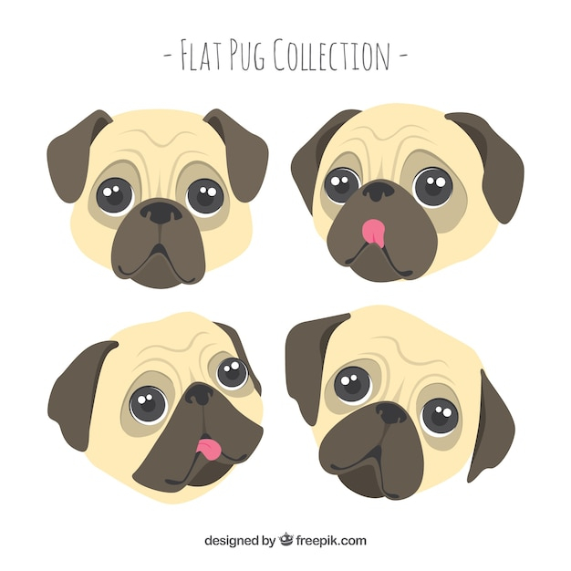 design,dog,animal,face,cute,happy,flat,pet,flat design,fun,funny,cute animals,faces,lovely,puppy,pack,happy face,pug,collection,tongue